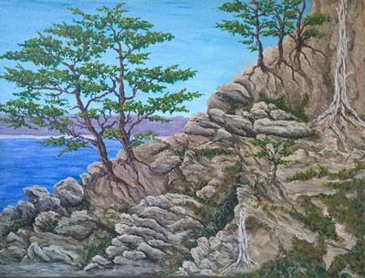 Stony Cliff by Richard Williams